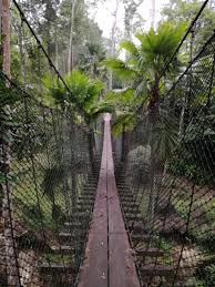 Ayuh sertai magical forest charity run untuk bermesra via www.wanista.com. National Botanic Gardens Shah Alam Wikiwand