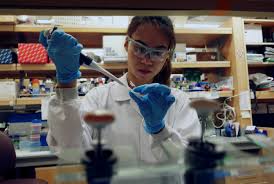 Thank you for your patience. Singapore To Start Human Trials Of Covid 19 Vaccine In August