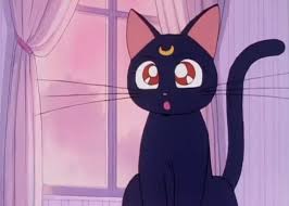 To draw luna from sm #i love how merch of her makes her fur light purple instead of black. A Tribute To Sailor Moon Sailor Moon Cat Sailor Moon Luna Sailor Moon Aesthetic