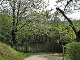 Geheimnisvoller Garten Foto Bild Deutschland Europe Bayern Bilder Auf Fotocommunity