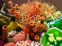 Learn more about travel, black travel, poc travel, solo travel, millenial. Artificial Corals Aquarium Technology Limited Atl