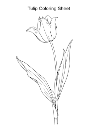Yes, the netherlands does have a lot of parks and varieties of flowers from the country of windmills. 10 Flower Coloring Sheets For Girls And Boys All Esl