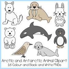 Arctic And Antartic Animal Clipart Animal Clipart Antarctic Animals Clip Art