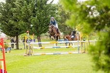 TRAINING SHOW