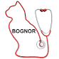 FELINE HEALTH, WELLBEING. & FIRST AID BOGNOR event image