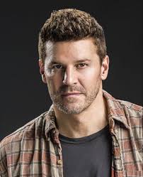Includes character biography, gallery, and a complete list of episode appearances. Sealteam Bravo Team Profiles Jason Hayes Bravo 1 Via Stacyamiller85 David Boreanaz Sealteamcbs Sealteamwriters Thenerdygirlexpress