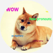 What's with dogecoin and the dog? Doge Dictionary Com