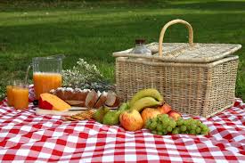 Image result for picnic