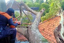 Look through examples of puting beliung translation in sentences, listen to pronunciation and learn grammar. Klungkung Dilanda Kerusakan Parah Karena Puting Beliung Ini Rinciannya Balipost Com