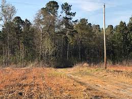 Though josephson's fingernails also were. Caroline Hecker On Twitter Cpd Death Of Samantha Josephson Is Being Investigated As A Homicide Her Body Was Found In A Wooded Area Of Clarendon County At 3 45p Friday Afternoon Wis10 Https T Co Kad5oyxtic