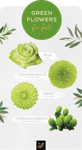 Color obsession of the week: 20 Types Of Green Flowers Ftd Com