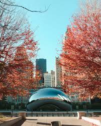 Maybe you would like to learn more about one of these? Illinois Online Notary Services Onlinenotary Us