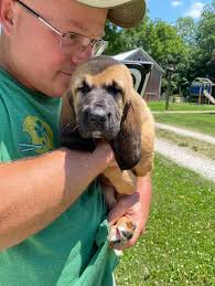 Happy Birthday to a real genius! Mike Amos ps the same day for wacht am rein