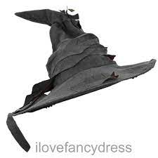 Grey Witch Wizard Hat Halloween Fancy Dress Costume Book Film Movie Character Ebay Fancy Dress Costumes Halloween Fancy Dress Medieval Fantasy Clothing