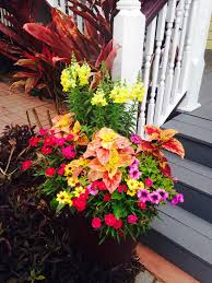 2200 us hwy 1 south, st. Flowers At The Bayfront Marin House In St Augustine Florida