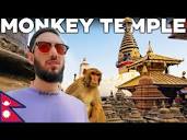 What Did I Witness at The Monkey Temple in Nepal? - YouTube