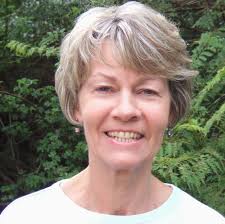 Dawn Vincent Psychotherapist and Career Counsellor