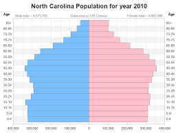 Analyzing Age And Gender Distribution With A Pyramid Chart