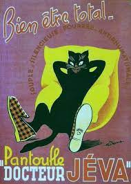 pin on le chat domestique et petit bourgeois