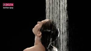 As you already know, if you read our introduction anyway, this is not our pick for the overall best delta rain shower head. Delta Windemere 1 Spray 6 In Single Wall Mount Fixed Rain Shower Head In Oil Rubbed Bronze Rp61181ob The Home Depot