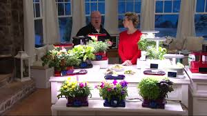 Aerogarden harvest vs harvest 360. Miracle Gro Aerogarden Harvest Touch 6 Pod Garden On Qvc Youtube