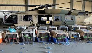 In countless tweets on monday, a. 9rpsy8j1livbqm