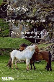 Pin On Inspirational Horse Quotes And Horse Ideas
