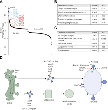 Zoomtext is the world's leading magnification and screen reading software for the visually impaired. A Genome Wide Copper Sensitized Screen Identifies Novel Regulators Of Mitochondrial Cytochrome C Oxidase Activity Journal Of Biological Chemistry