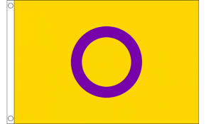 As it is not a vector format, it's not suitable for enlarging after download or for print usage. Intersex Pride Flag Pride Flags South Coast Flagpoles