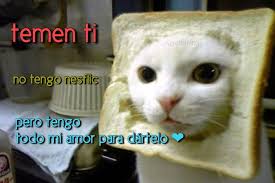 Temen Ti 447 Letras Amor Escritos Tumblr Frases Goals Frasesdeamor