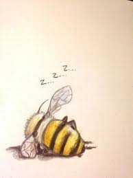Vintage Bee Beehives Bee Decor In 2020 Bee Drawing Bee Art Drawings