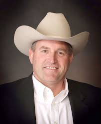 Wayne Layout Template