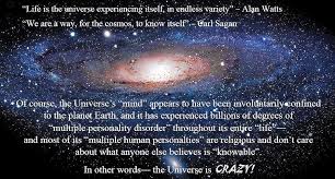 We did not find results for: Acute Hospital Md On Twitter You Are The Universe Experiencing Itself Carl Sagan Https T Co 68tfmml9na