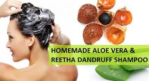 Diy aloe vera sulfate free shampoo using soapy twist sulfate free shampoo base. Natural Shampoo For Dandruff With Aloe Vera And Reetha