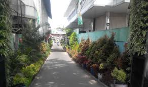 Sketsa gambar gotong royong di sekolah. Kampung Kumuh Dan Langganan Banjir Itu Kini Hijau Dan Kaya Sumber Air Mongabay Co Id Mongabay Co Id