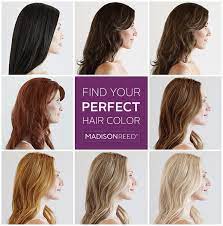 Http Www Echopaul Com Get Healthier Haircolor With Amazing Results No Harsh Chemical Odor Or Burn When Appl Perfect Hair Color Hair Styles Long Hair Updo