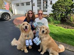 Has been added to your cart. Bring On The Floof Two Golden Pups Are Delivering Locally Brewed Suds To A Growing Brew Dogs Fan Base New York Daily News