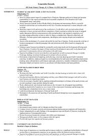 The financial manager job description is mentioned in the following procedures: Risk Audit Manager Resume Samples Velvet Jobs