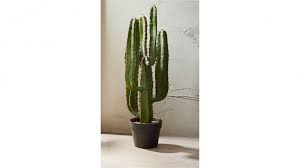 Cactus and succulents are enjoying overwhelming popularity in the garden design world; Desert Cactus 82cm