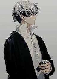 This is why blonde hair won't exist in 200 years. Anime Guy With Silver White And Black Hair Black Hair Anime Guy Handsome Anime Boy Art