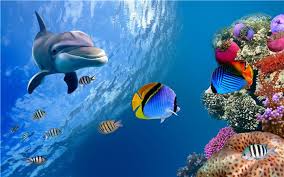Gambar Biota Laut Dari Kumpulan Gambar Laut Yang Indah Di 2020 Gambar Ekosistem Laut Lautan