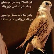 إن أعظم الرجال و النساء الذي يحملون أعظم الأفكار يمكن أن يوقفهم أصغر الرجال و النساء الذي يملكون أصغر العقول احمل أفكاراً عظيمة على أية حال. Ù…Ø¯Ø­ ÙÙŠ Ø§Ù„Ø±Ø¬Ø§Ù„ ÙƒÙ„Ù…Ø§Øª Ù…Ø¯Ø­ Ù„Ù„Ø±Ø¬Ø§Ù„ Ø±Ø§Ø¦Ø¹Ø© Ø¯Ù…ÙˆØ¹ Ø¬Ø°Ø§Ø¨Ø©