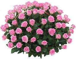 44,285 animation flower stock video clips in 4k and hd for creative projects. Red Rose Bouquet Animated Gif