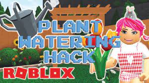 All plants need water and learning how to water your weed effectively is a key part of being a grower. Bloxburg Plant Watering Hack Water All Of Your Plants In Under A Minute O Welcome To Bloxburg Youtube