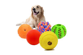 We did not find results for: The 20 Best Puzzle Toys For Bored Dogs In 2021 Dog Puzzle Toys Dog Ball Dog Puzzles