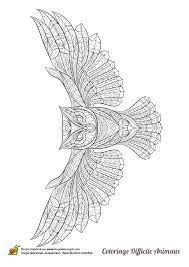 Page 32 Sur 39 Sur Hugolescargot Com Coloriage Hibou Coloriage Coloriage Animaux