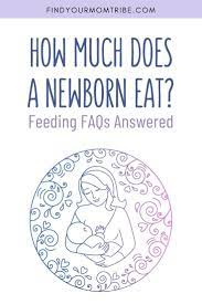 How Much Does A Newborn Eat Feeding Faqs Answered Bottle Feeding Newborn Formula Fed Babies Newborn