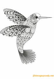 Keep your kids busy doing something fun and creative by printing out free coloring pages. Beauty Of Hummingbird Coloring Pages Hard Coloring Pages Coloring Pages For Kids And Adults
