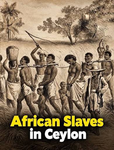 African slaves in colonial Ceylon history
