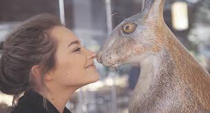 Hare-raising auction to provide home nursing for sick children